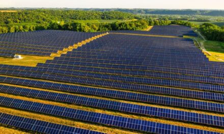 Bruton Knowles brightens German renewable firm’s UK solar site search
