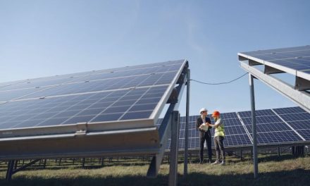 UK Power Networks’ DSO opens up new data to boost renewables