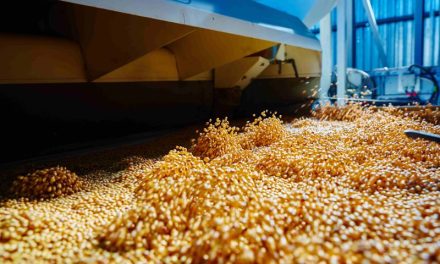 Reduce energy costs and improve sustainability through feed mill automation