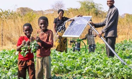 Power Roll and Futurepump partner to reach more farmers with affordable irrigation