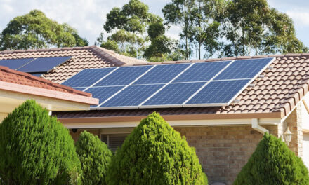 GoodWe urges training investment amidst soaring demand for solar installations