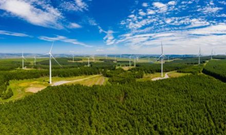 The UK’s Green-Powered Future: Five leading wind farm projects