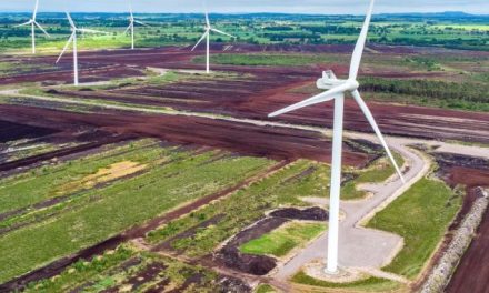Wind farm generates £1m in community benefits